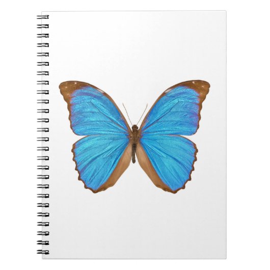 Blauer Morpho Schmetterling (Menelaus blaues Notizblock (Vorderseite)