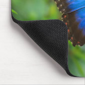 Blauer Morpho Schmetterling Mousepad (Ecke)