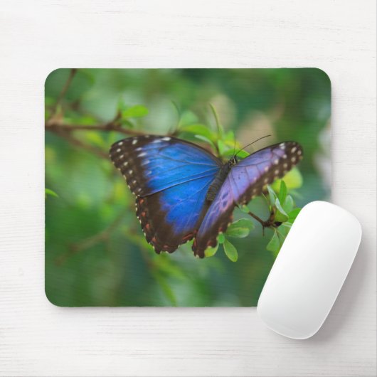 Blauer Morpho Schmetterling Mousepad (Mit Mouse)