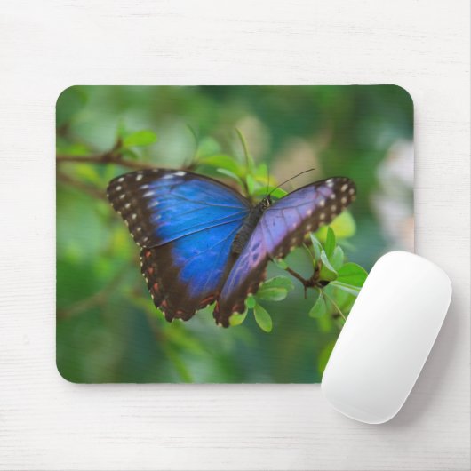 Blauer Morpho Schmetterling Mousepad (Mit Mouse)