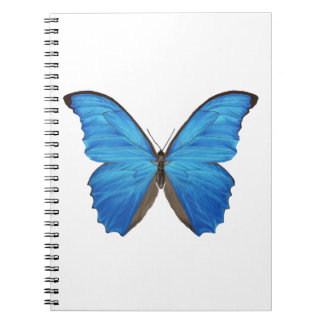 Blauer Morpho Schmetterling Notizblock