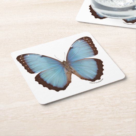 Blauer Morpho Schmetterling Rechteckiger Pappuntersetzer (angewinkelt)