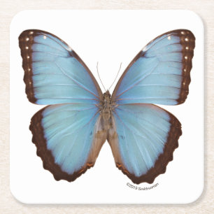 Blauer Morpho Schmetterling Rechteckiger Pappuntersetzer