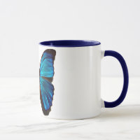 Blauer morpho Schmetterling