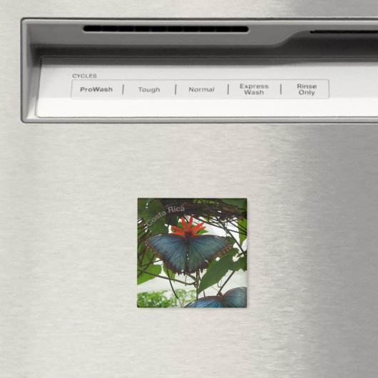 Blauer Morpho Schmetterlinge Kust. Magnet (In Situ (Geschirrspüler))