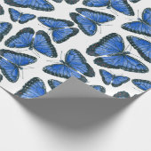 Blauer Morpho-Schmetterlingsmuster Verpackungspapp Geschenkpapier (Ecke)