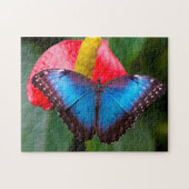 Blauer Morphofalter Schmetterling. Puzzle (Horizontal)