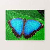 Blauer Morphofalter Schmetterling. Puzzle (Horizontal)