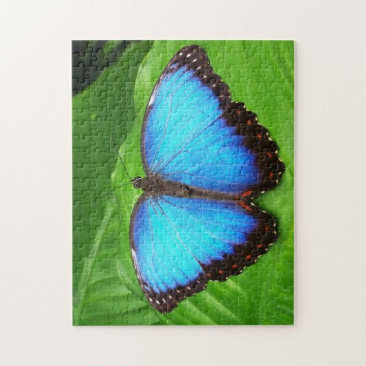 Blauer Morphofalter Schmetterling. Puzzle (Vertikal)
