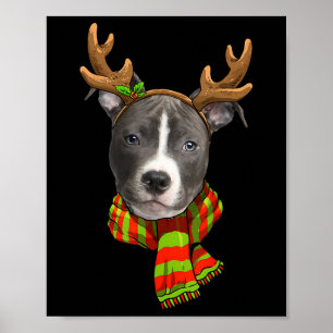Blauer Nase Pitbuli Weihnachtsmann Haustier Hund L Poster