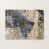 Blauer Nase-Pitbull-Puzzle Puzzle (Horizontal)