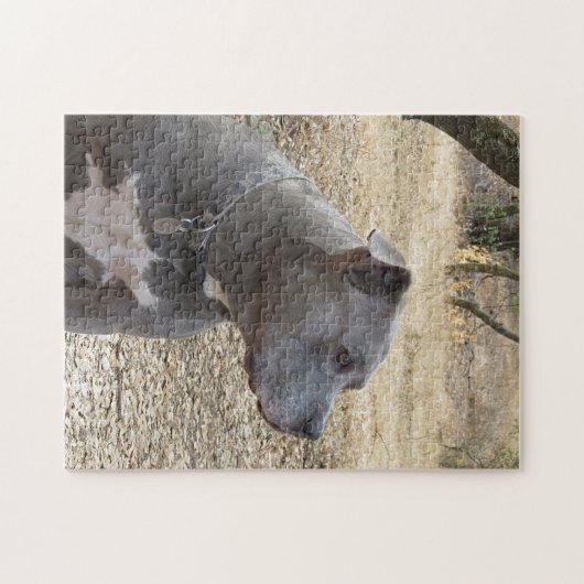 Blauer Nase-Pitbull-Puzzle Puzzle (Horizontal)
