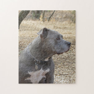 Blauer Nase-Pitbull-Puzzle Puzzle