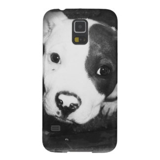 Blauer Nase Pitbull Welpe Galaxy S5 Hülle
