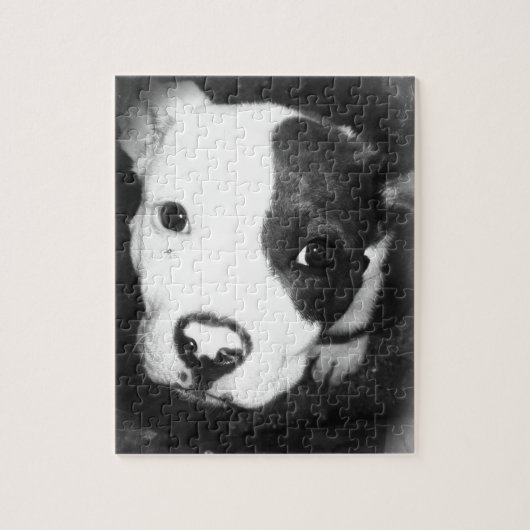 Blauer Nase Pitbull Welpe Puzzle (Vertikal)