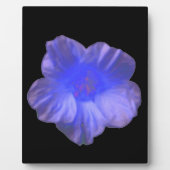 Blauer Nasturtium Blume Plaque Fotoplatte (Vorderseite)