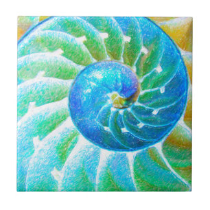 Blauer Nautilus Fliese