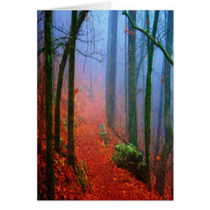 Blauer Nebel in gestrichenem Wald