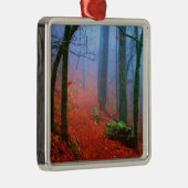 Blauer Nebel in gestrichenem Wald Silbernes Ornament (Rechts)