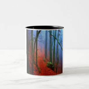 Blauer Nebel in gestrichenem Wald Zweifarbige Tasse