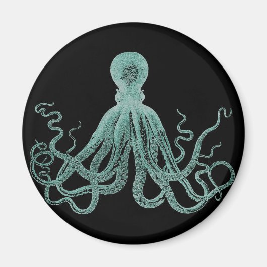 Blauer Oktopus-Magnet Magnet (Vorne)