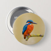 Blauer orange Eisvogel-Vogel Button (Vorne & Hinten)