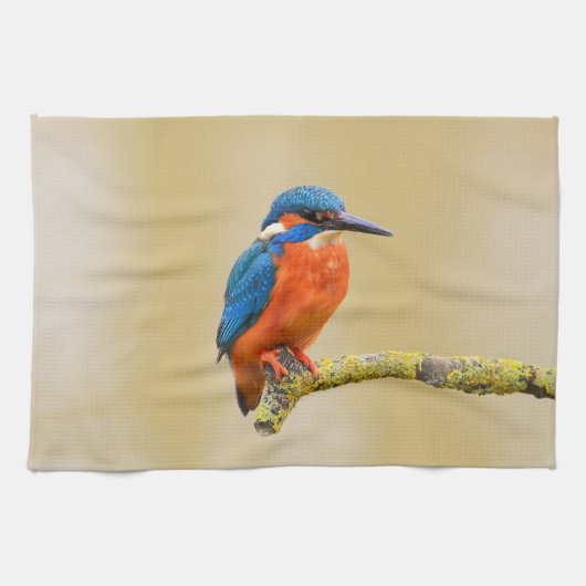 Blauer orange Eisvogel-Vogel Geschirrtuch (Horizontal)