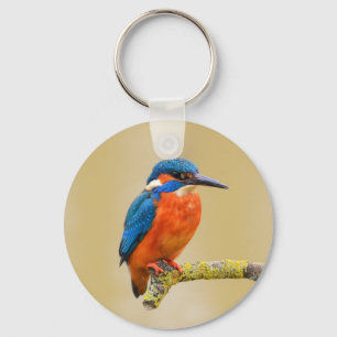 Blauer orange Eisvogel-Vogel Schlüsselanhänger