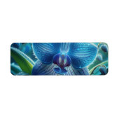 Blauer Orchid (Vorne)