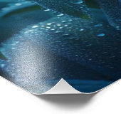 Blauer Orchid Fotodruck (Ecke)