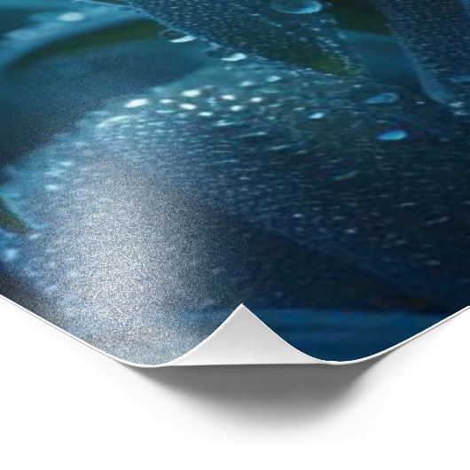 Blauer Orchid Fotodruck (Ecke)