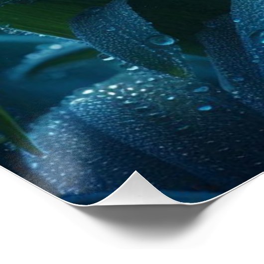 Blauer Orchid Poster (Ecke)