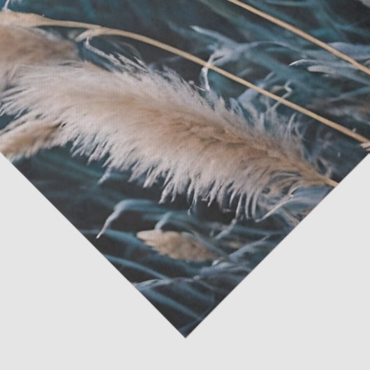 Blauer Pampelgras Seidenpapier (Detail)