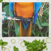 Blauer Papagei Geschirrtuch (Gefaltet)