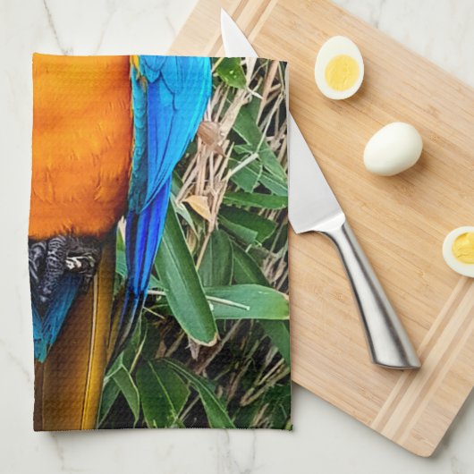 Blauer Papagei Geschirrtuch (Viertel Falte)