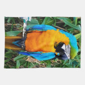 Blauer Papagei Geschirrtuch (Horizontal)