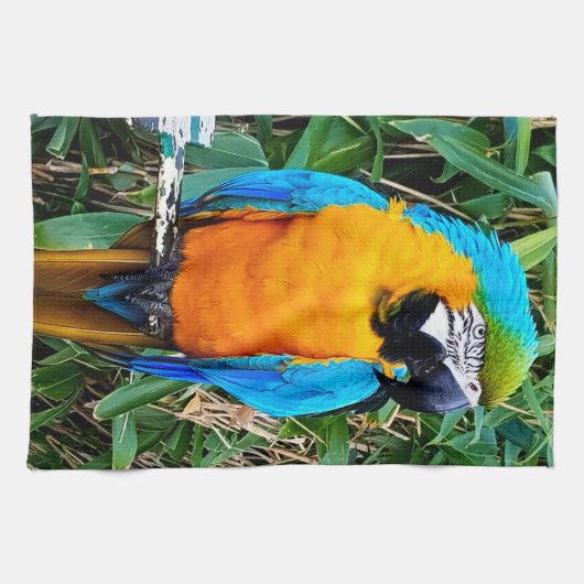 Blauer Papagei Geschirrtuch (Horizontal)