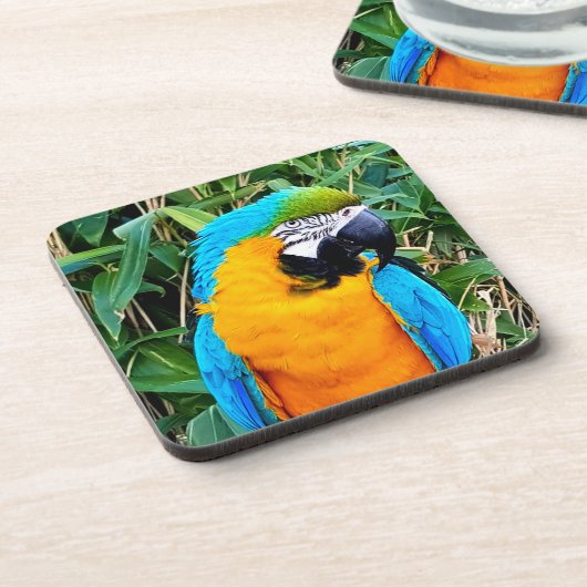 Blauer Papagei Getränkeuntersetzer (Linke Seite)
