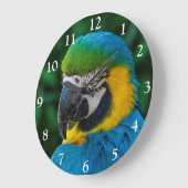 Blauer Papagei Große Wanduhr (Winkel)