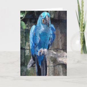 Blauer Papagei(Karte) Feiertagskarte