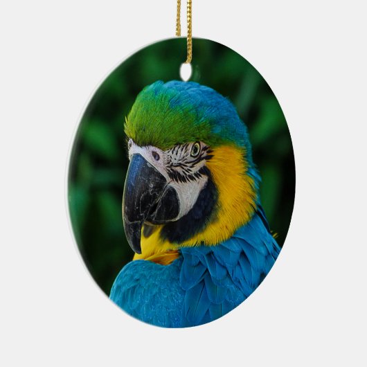 Blauer Papagei Keramik Ornament (Rechts)