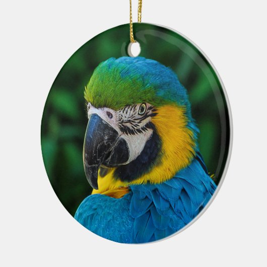 Blauer Papagei Keramik Ornament (Links)