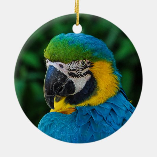 Blauer Papagei Keramik Ornament (Hinten)