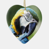 Blauer Papagei Keramikornament (Rechts)