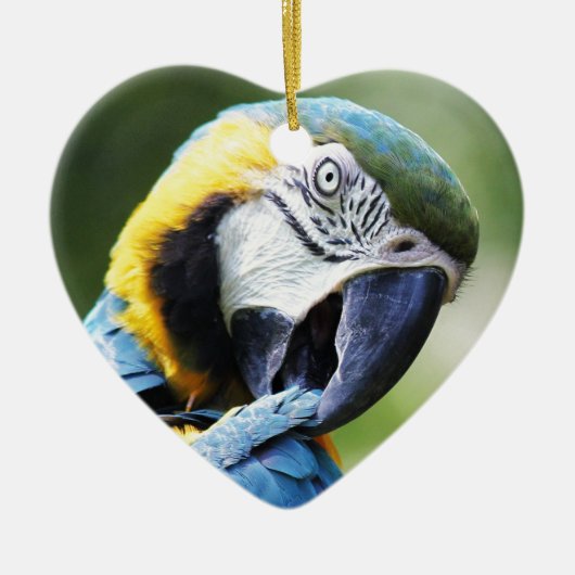 Blauer Papagei Keramikornament (Vorne)