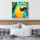 Blauer Papagei Leinwanddruck (Insitu (Schlafzimmer))