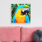 Blauer Papagei Leinwanddruck (Insitu (Wohnzimmer))