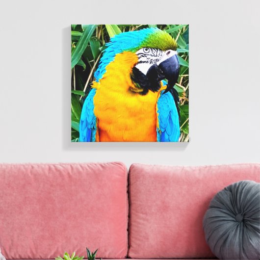 Blauer Papagei Leinwanddruck (Insitu (Wohnzimmer))