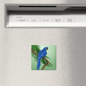 Blauer Papagei Magnet (In Situ (Geschirrspüler))