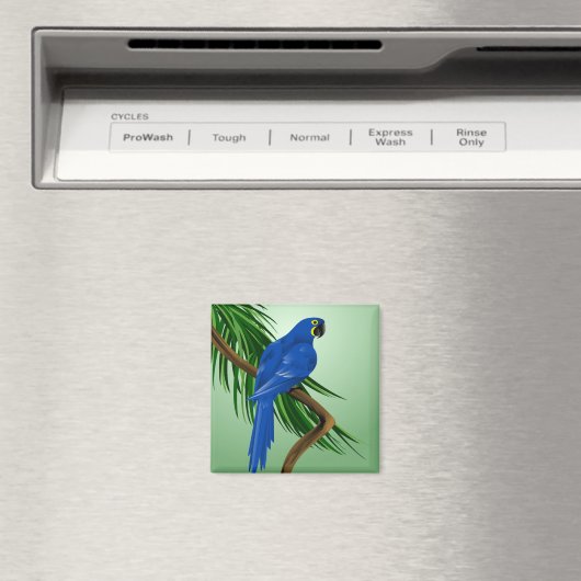 Blauer Papagei Magnet (In Situ (Geschirrspüler))